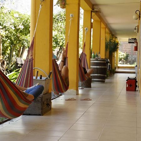 Hostel Lo De Chichi Cafayate Eksteriør bilde